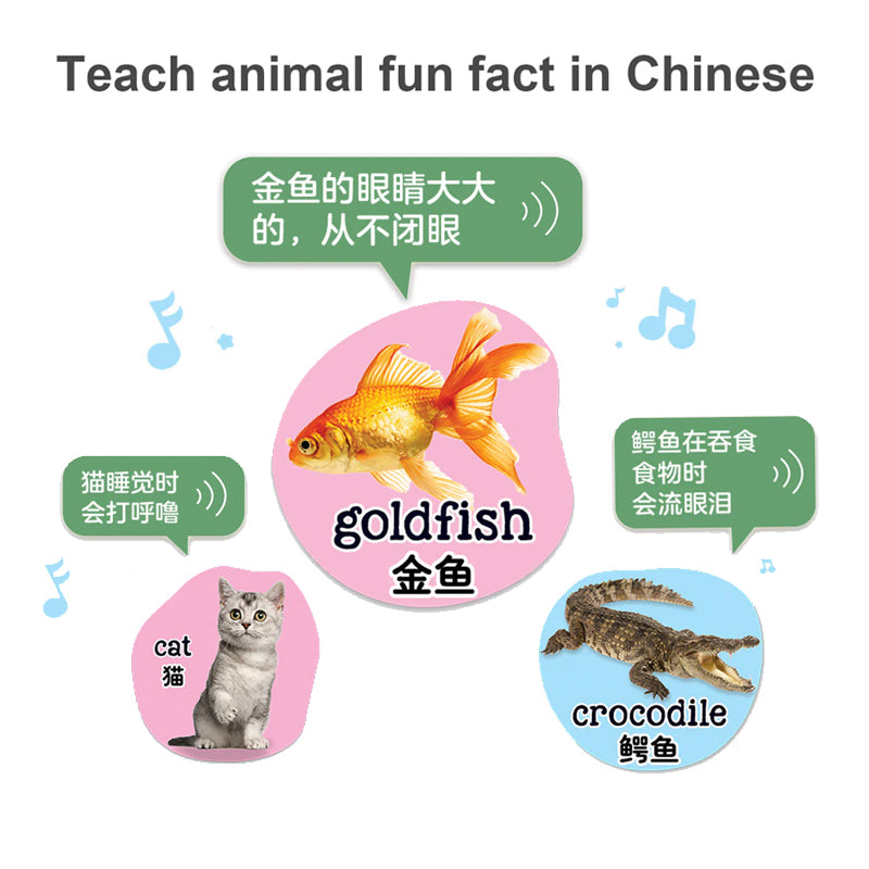 LeapFrog 100 Animals Book - Bilingual English and Chinese | 动物英语100词（中英双语）| 18 months+