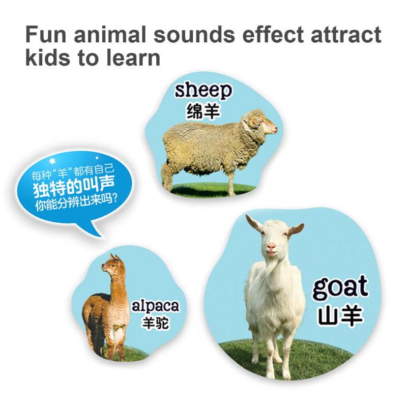 LeapFrog 100 Animals Book - Bilingual English and Chinese | 动物英语100词（中英双语）| 18 months+